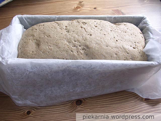 Sprawdzanie stanu wyrośnięcia chleba